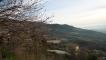 2011-03-17 17:24:50 Fr:113304 Sq:17172450