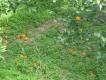 2013-02-22 14:28:25 Fr:132229 Sq:22142825