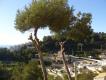 2013-02-24 09:04:28 Fr:132469 Sq:24090428