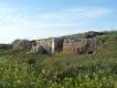 2011-03-16 16:52:38 Fr:113279 Sq:16165238