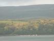 2010-10-09 09:14:16 Fr:10a188 Sq:09091416