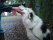 2011-10-02 16:04:48 Fr:dsc00030 Sq:2302160447