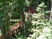 2009-04-22 15:57:31 Fr:094369 Sq:22155731