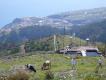 2009-04-23 16:46:28 Fr:094443 Sq:23164628
