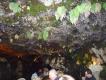 2009-04-24 15:12:00 Fr:094491 Sq:24151200