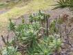2009-04-29 15:01:26 Fr:095226 Sq:29150126