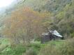2009-04-28 17:29:20 Fr:095467 Sq:28172920