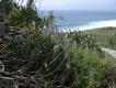 2009-05-01 15:58:43 Fr:096074 Sq:31155843