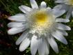 2009-05-03 12:02:52 Fr:096140 Sq:33220252