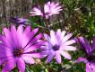 2009-05-03 12:03:20 Fr:096141 Sq:33220320