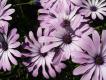 2009-05-03 12:04:34 Fr:096143 Sq:33220434