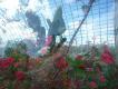 2014-07-05 16:23:44 Fr:147028 Sq:35162344