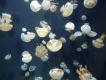 2012-07-23 12:54:22 Fr:127691 Sq:23125422