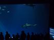 2012-07-23 13:55:24 Fr:127716 Sq:23135524