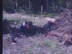 2012-07-19 11:23:21 Fr:127t26 Sq:19112321