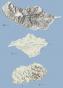 0000-00-00 00:00:00 Fr:mad_iow_arr Sq:071730