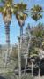 2012-07-25 16:06:22 Fr:127872 Sq:25160622