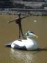 2011-07-06 14:39:55 Fr:117185 Sq:06143955