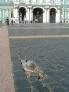 2011-07-09 13:59:57 Fr:117523 Sq:09135957