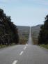 2009-04-23 16:16:41 Fr:094441 Sq:23161641