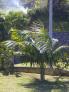 2009-04-25 15:54:49 Fr:094871 Sq:25155449
