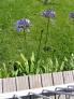 2009-05-03 16:20:39 Fr:096183 Sq:33262039
