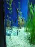 2012-07-23 13:08:11 Fr:127701 Sq:23130811