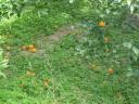 2013-02-22 14:28:25 Fr:132229 Sq:22142825