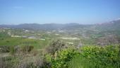 2011-03-17 15:42:58 Fr:113287 Sq:17154258