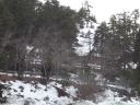 2011-03-19 17:12:08 Fr:113426 Sq:19171208