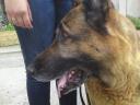 2000-01-08 13:08:08 Fr:dsc00211 Sq:2108130807