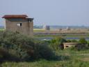 2011-04-25 15:56:32 Fr:114349 Sq:25155632