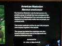 2012-07-26 14:13:39 Fr:127953 Sq:26141339