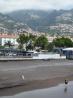 2009-04-21 13:09:21 Fr:094298 Sq:21130921