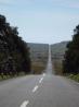 2009-04-23 16:16:41 Fr:094441 Sq:23161641