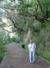 2009-04-23 17:52:40 Fr:094457 Sq:23175240