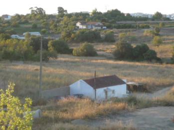 097425.jpg